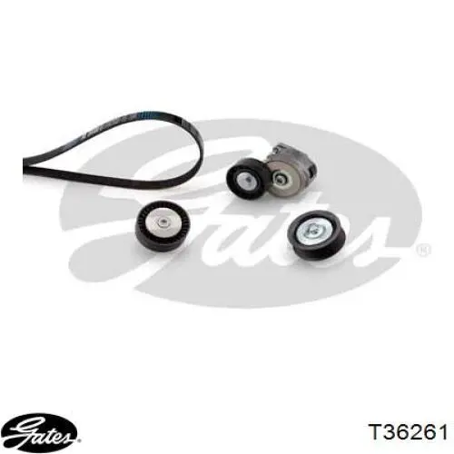 Polea inversión/guía, correa auxiliar servicios General Motors 55190812 precio, desde 14,43 EUR