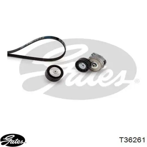 Comprar 55190812 General Motors Polea inversión/guía, correa poli V
