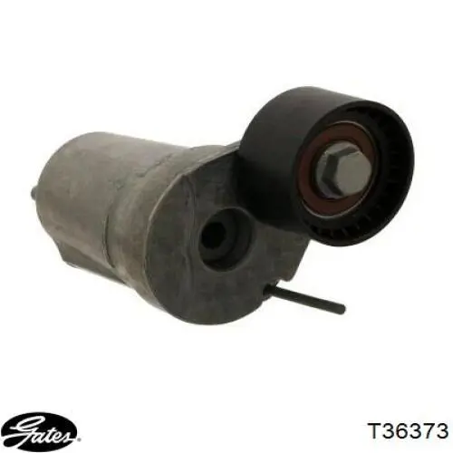 Polea inversión / guía, correa poli V 7800562 BMW