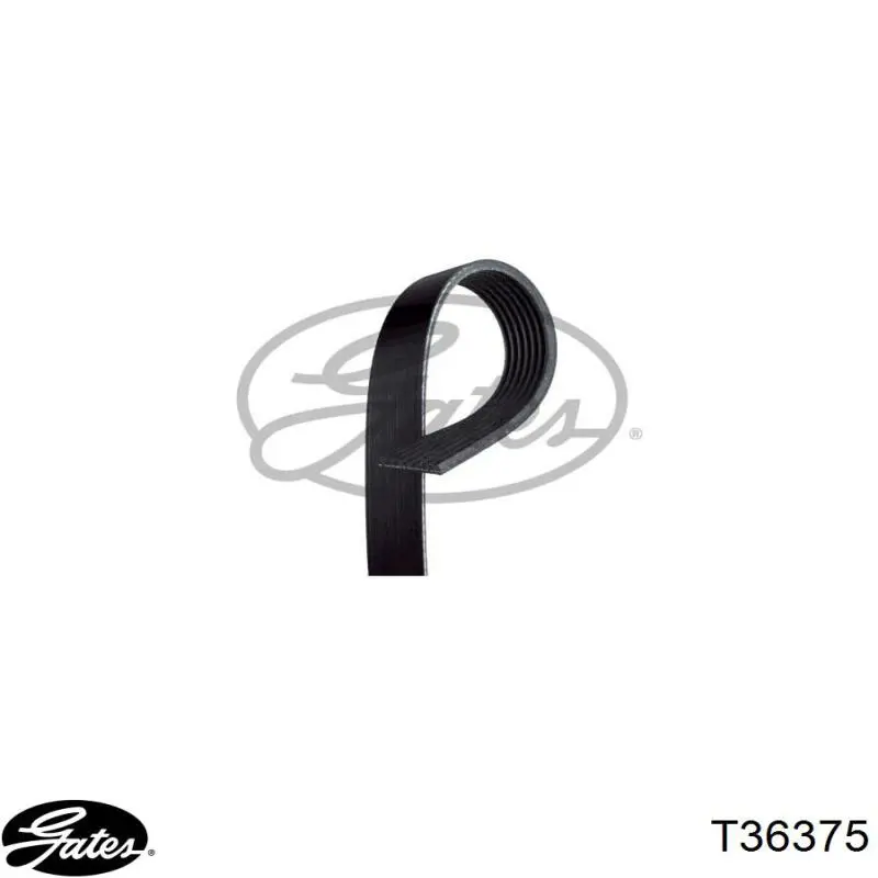 Polea inversión/guía, correa auxiliar servicios Gates T36375 precio, desde 11,34 EUR