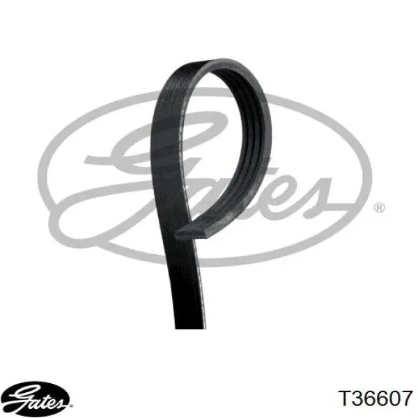 Comprar T36607 Gates Polea tensora, correa poli V