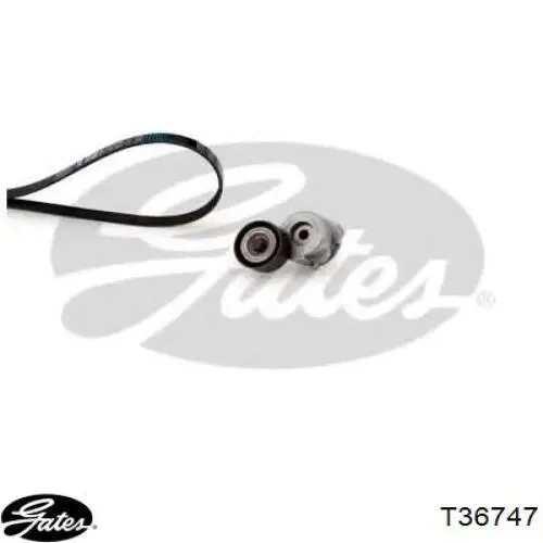 Rodillo tensor correa poli V Suzuki 1753082J00 precio, desde 30,96 EUR