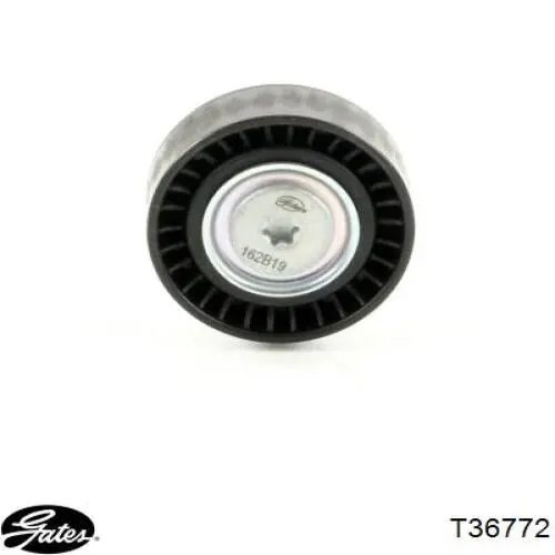 Polea inversión/guía, correa auxiliar servicios Fiat/Alfa/Lancia 55275618 precio, desde 22,35 EUR