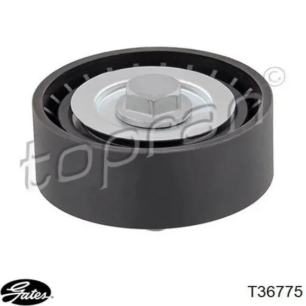 Rodillo guia Opel 55565572