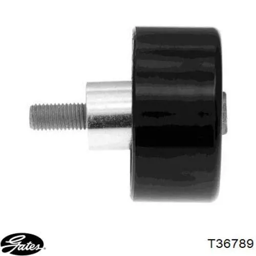 Rodillo tensor correa poli V Gates T36789 precio, desde 29,81 EUR