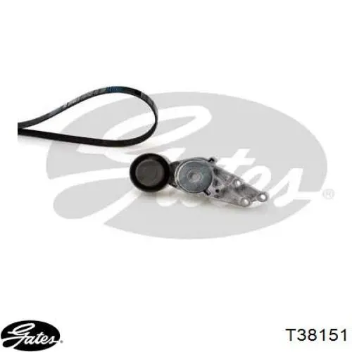 Tensor de la correa trapecial Gates T38151 precio, desde 53,61 USD