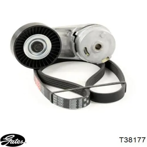 Tensor de la correa trapecial poli v Gates T38177