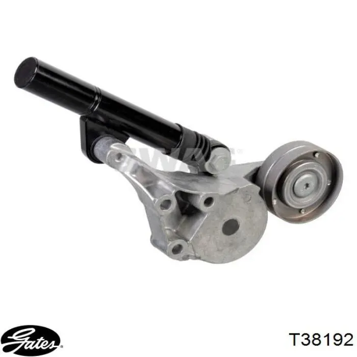 Tensor de la correa trapecial Vika 19030027201 precio, desde 56,93 EUR