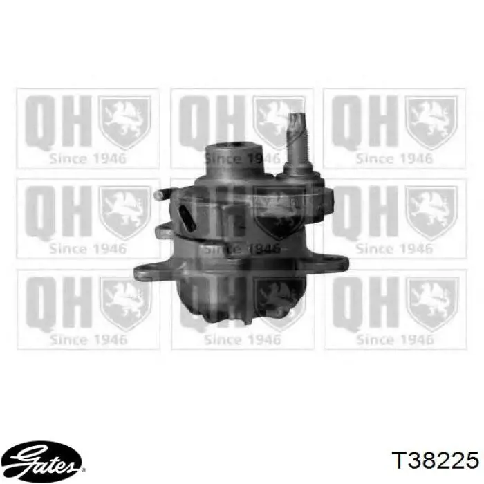Tensor de correa poli V T38225 Gates
