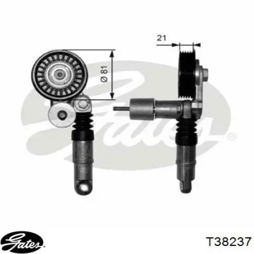 Tensor de la correa trapecial LUK 534033410 precio, desde 25,99 EUR
