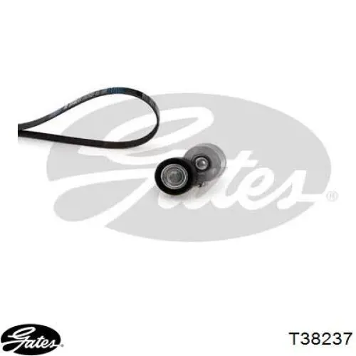 Comprar 5751A7 Peugeot/Citroen Tensor de correa poli V 