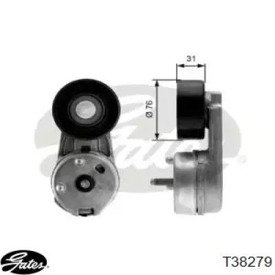 Tensor de correa poli V C2C36146 Jaguar