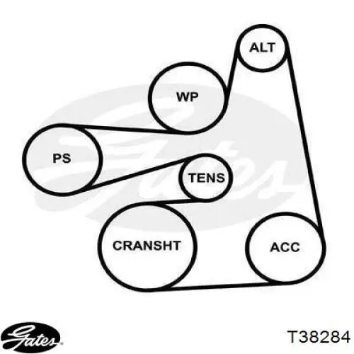 Tensor de la correa trapecial Tenacity ABTNI1004 precio, desde 36,28 EUR