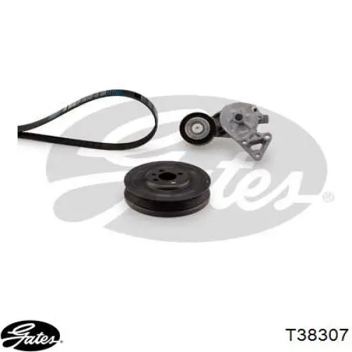 Tensor de la correa trapecial LUK 534013230 precio, desde 26,64 EUR