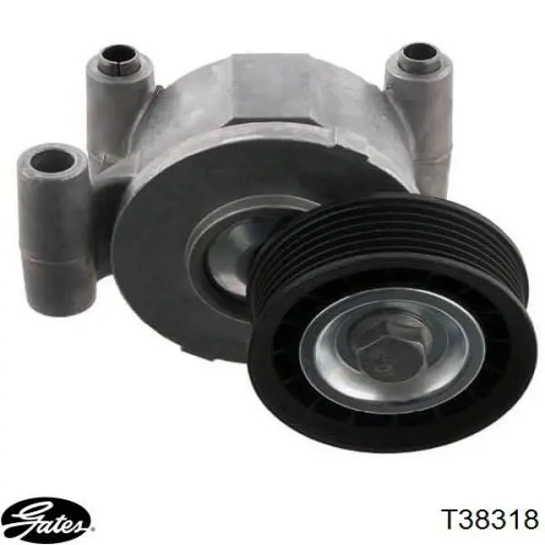 Tensor de correa poli V LF5015980B Mazda