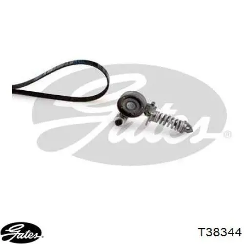 Tensor de la correa trapecial poli v Gates T38344