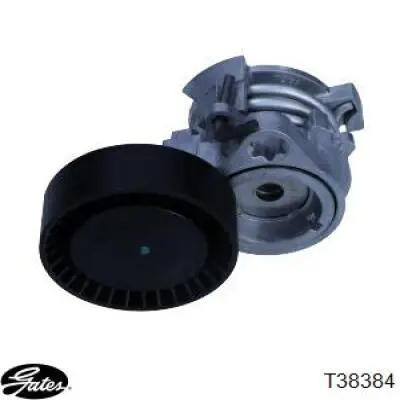 Tensor de la correa trapecial poli v LUK 534010410