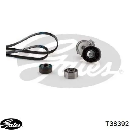 Comprar 541022 Ruville Tensor de correa poli V 