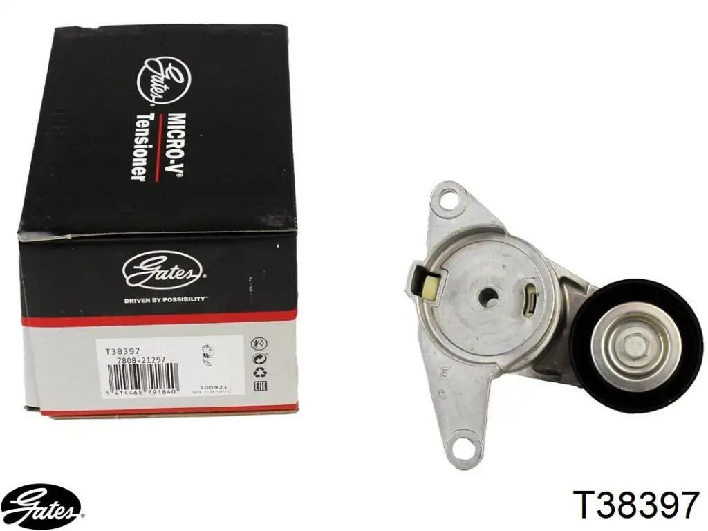 Comprar 71770693 Fiat/Alfa/Lancia Tensor de correa poli V 