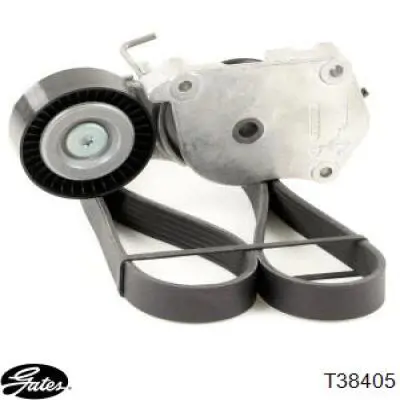 Comprar 28687 Febi Tensor de correa poli V 