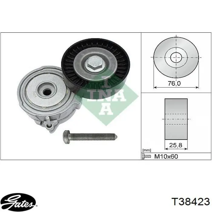 Tensor de la correa trapecial poli v Gates T38423