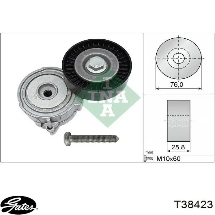 Tensor de correa poli V T38423 Gates