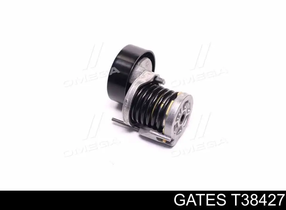 Tensor de correa poli V 361828 Hart