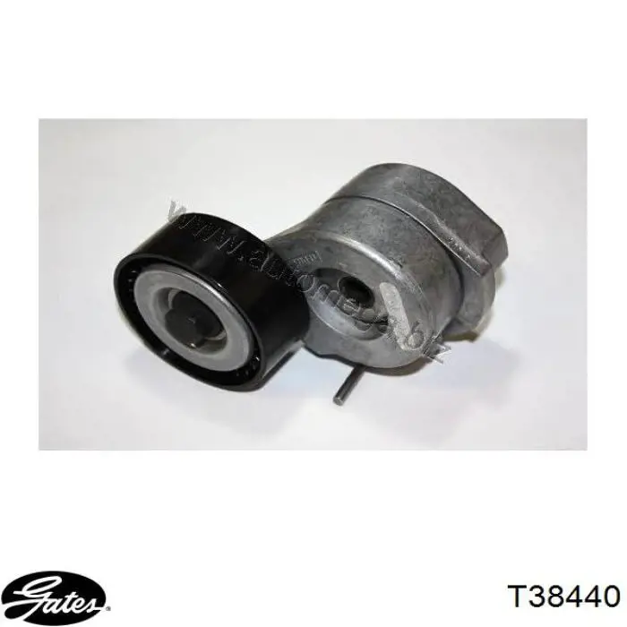 Comprar 55185074 Fiat/Alfa/Lancia Tensor de correa poli V 