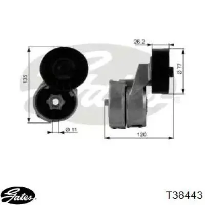 Comprar ES6941 DP Group Tensor de correa poli V 