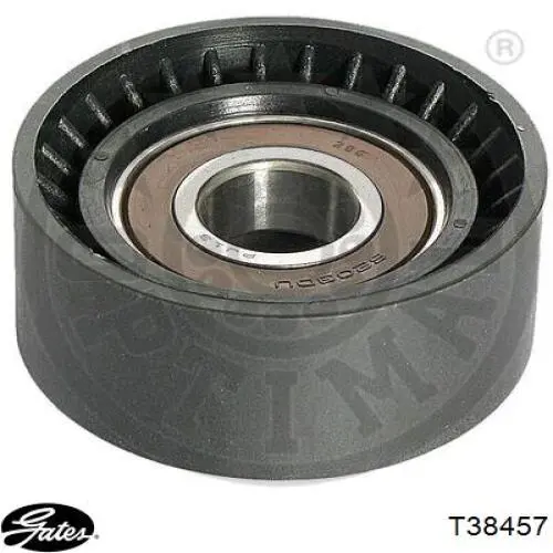 Tensor de correa poli V 425429 Triclo