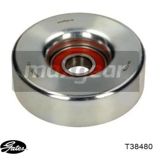 Tensor de correa poli V T38480 Gates