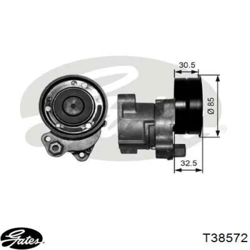 Comprar T38572 Gates Tensor de correa poli V 