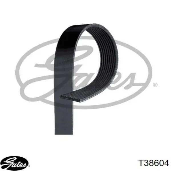 Tensor de correa poli V A5412002570 Mercedes