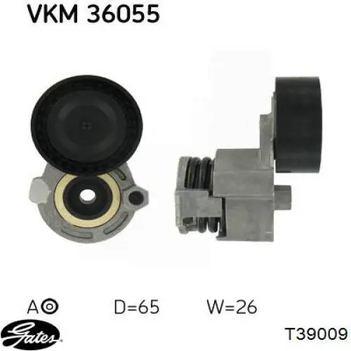 Tensor de correa poli V T405146 STC