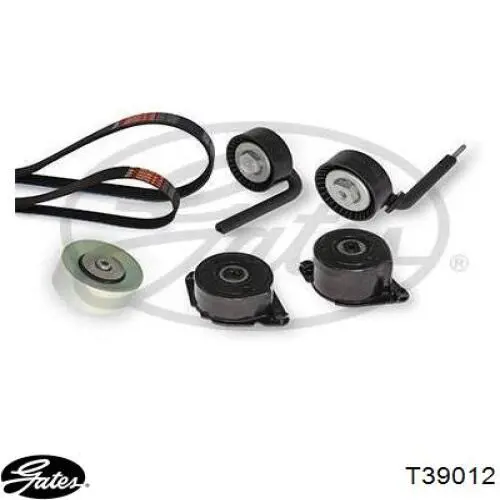 Comprar T39012 Gates Polea tensora, correa poli V