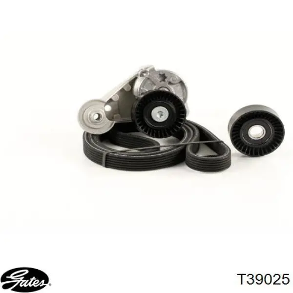 Tensor de la correa trapecial poli v para Volvo S80 I (TS, TH, KV)