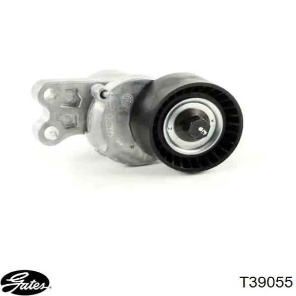 Tensor de correa accesorios CX/Complex CX0394 precio, desde 33,28 EUR