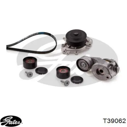 Tensor de la correa trapecial Dayco APV2782 precio, desde 49,91 EUR