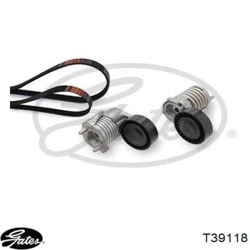 Tensor de correa poli V 30083 Febi
