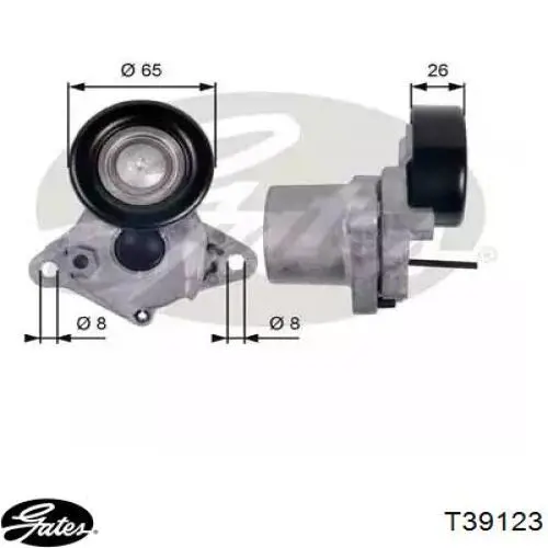 Tensor de la correa trapecial Gates 252812A600 precio, desde 43,56 EUR