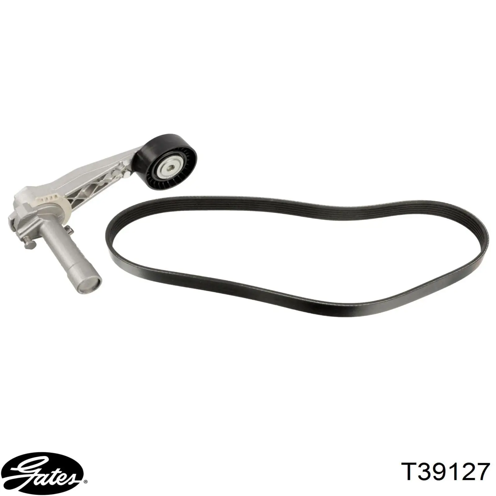 Tensor de correa poli V 11933136 Swag