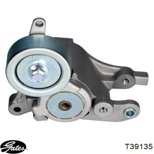 Tensor de correa poli V APV3012 Dayco