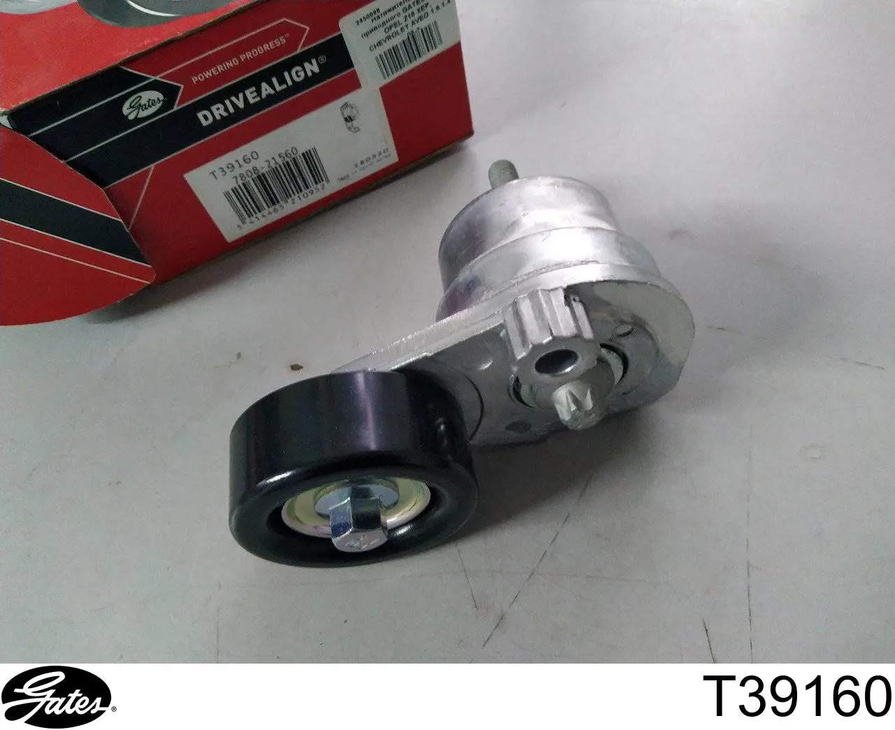 Comprar T39160 Gates Tensor de correa poli V 