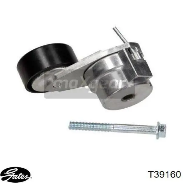 Tensor de correa poli V MPQ0317 Magneti Marelli