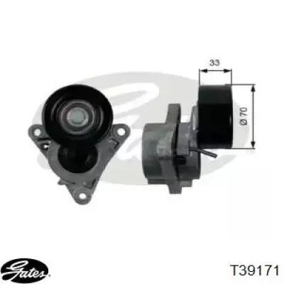 Comprar 119555X20B Nissan/Infiniti Tensor de correa poli V 