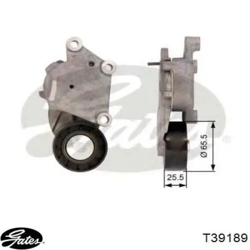 Tensor de la correa trapecial poli v Gates T39189