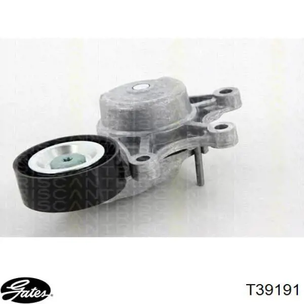 Tensor de correa poli V T39191 Gates