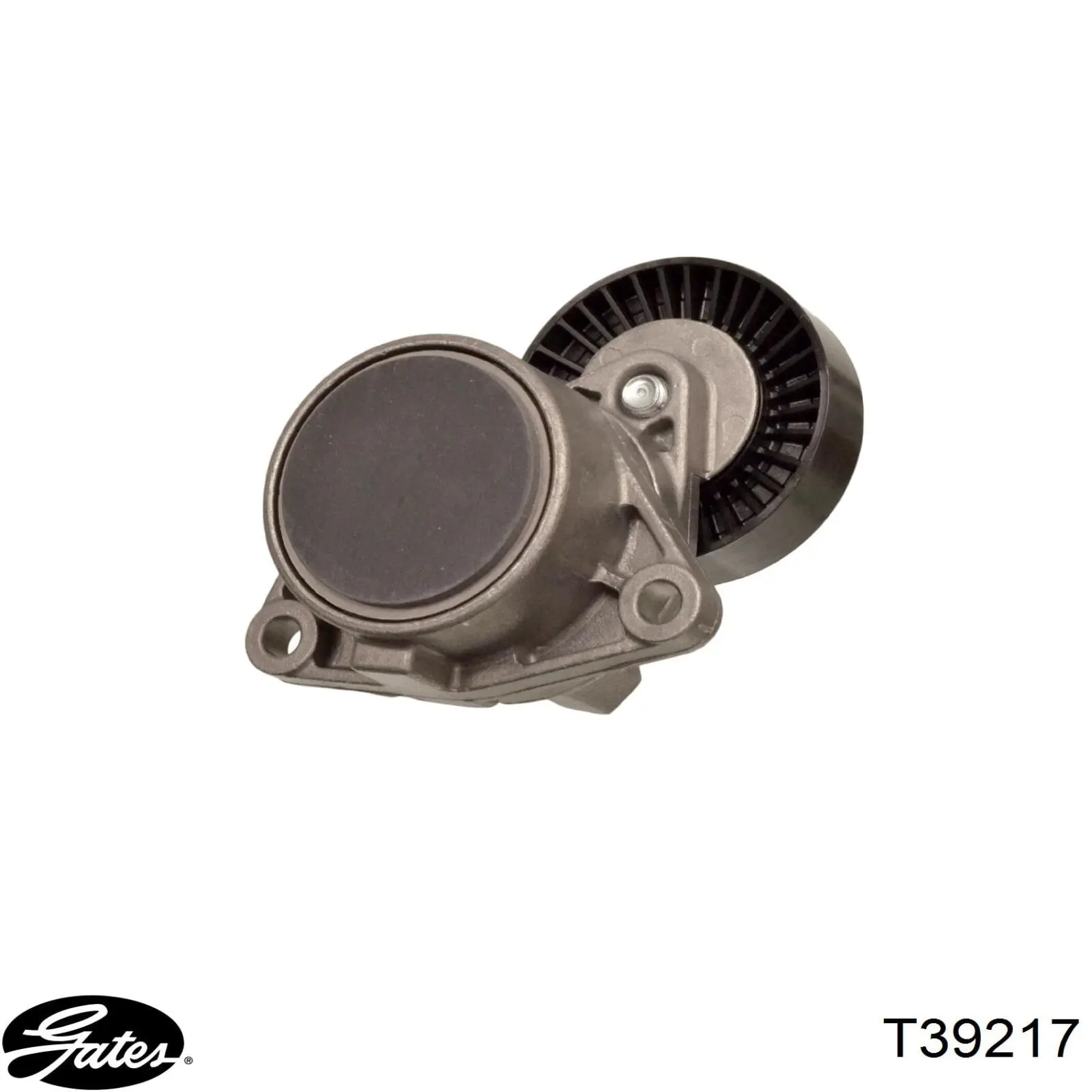 APV2262 Dayco Tensor de correa de alternador
