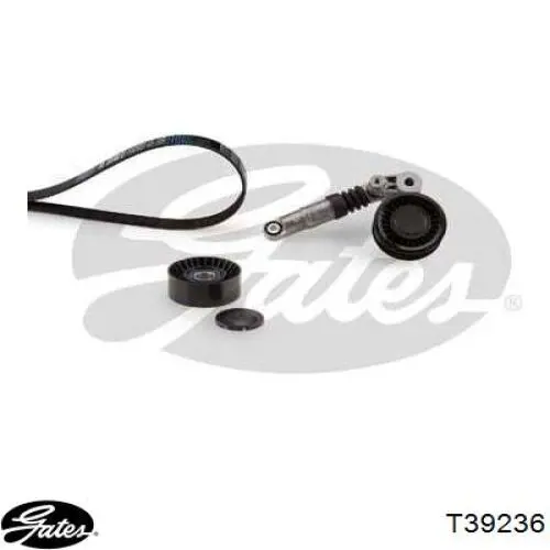 Comprar T39236 Gates Tensor de correa poli V 