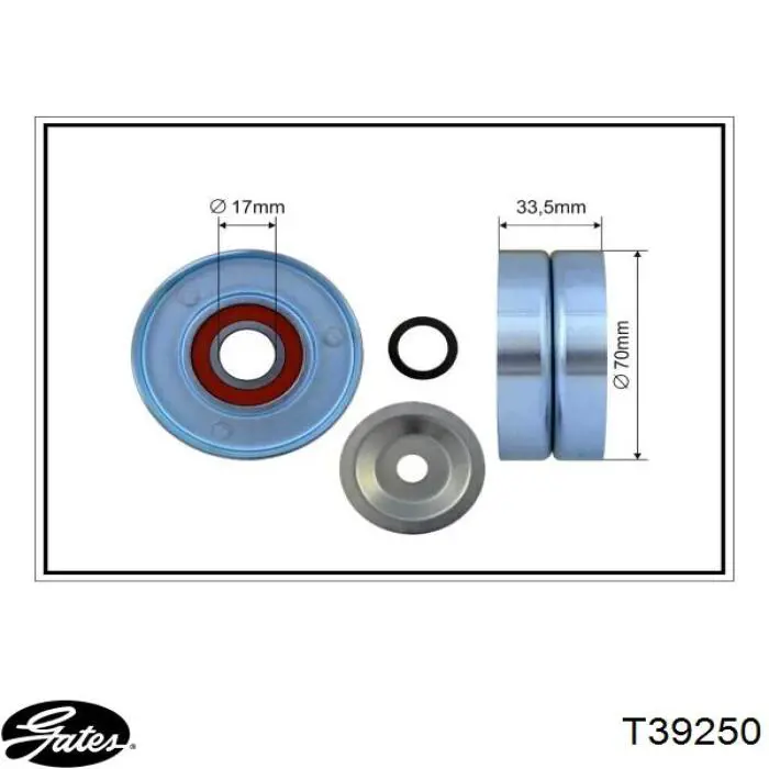 T39250 Gates tensor de correa, correa poli v